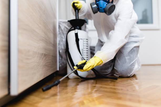 Best Affordable Pest Control Services  in Hammonton, NJ