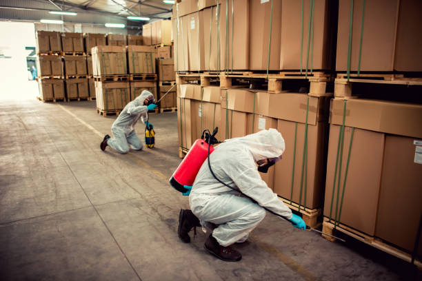 Best Local Pest Control Services  in Hammonton, NJ