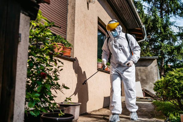 Best Emergency Pest Control  in Hammonton, NJ