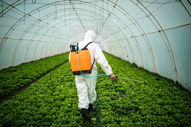 Best Mosquito Control Services  in Hammonton, NJ
