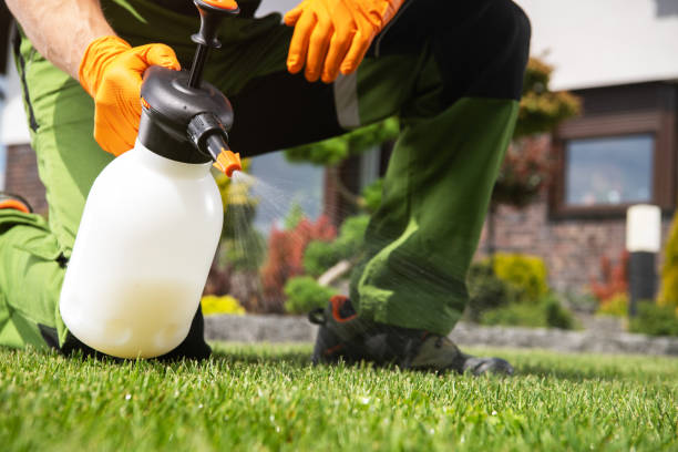 Best Best Pest Control Companies  in Hammonton, NJ