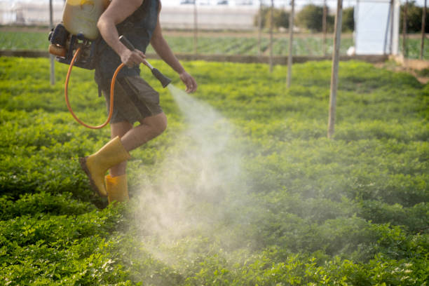 Best Best Pest Control Companies  in Hammonton, NJ