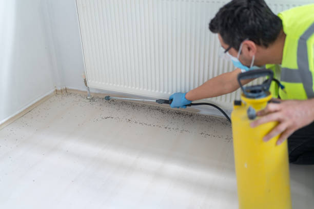 Best Affordable Pest Control Services  in Hammonton, NJ